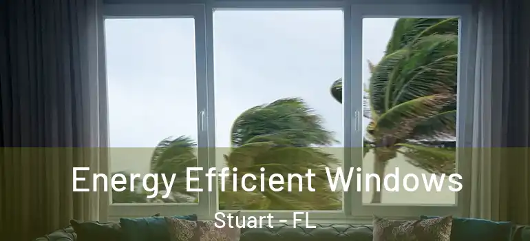  Energy Efficient Windows Stuart - FL
